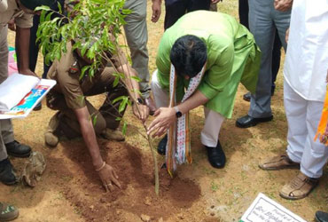 Vanamahotsava Program